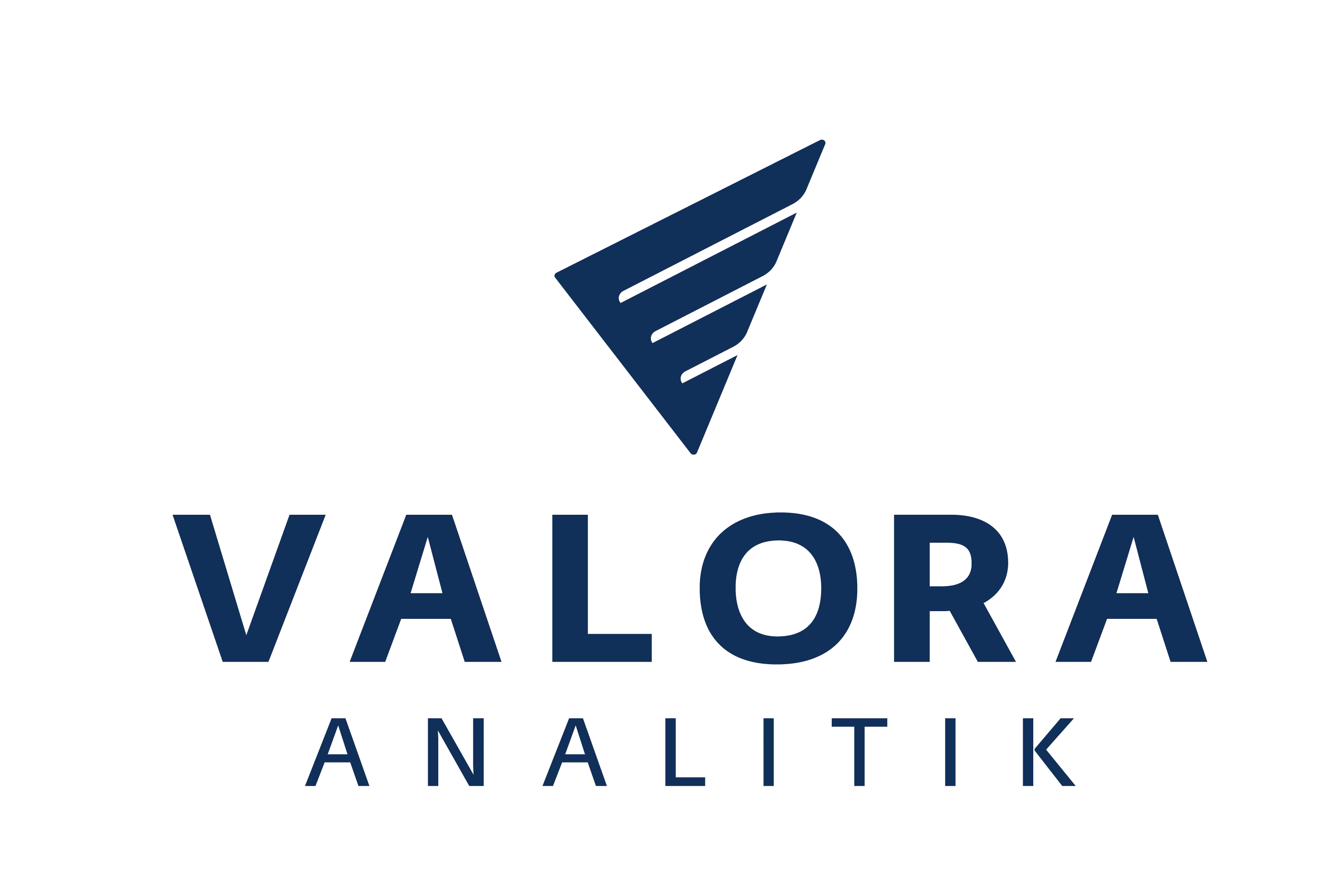 LOGOS_VALORA_ANALITIK-03-compress